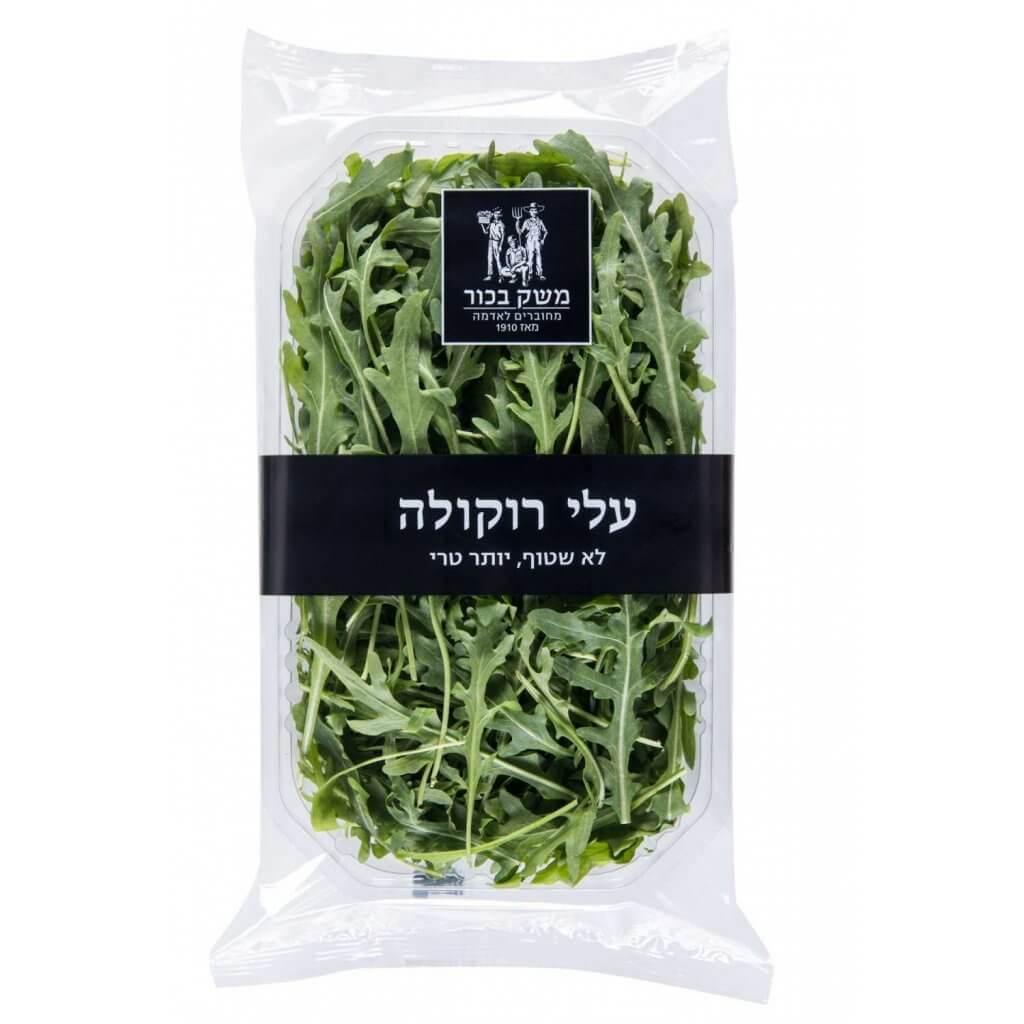 רוקט מארז גדול