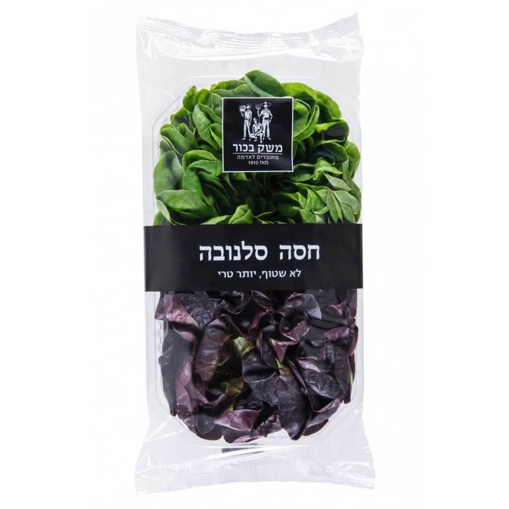 חסה סלנובה עלים ארוז