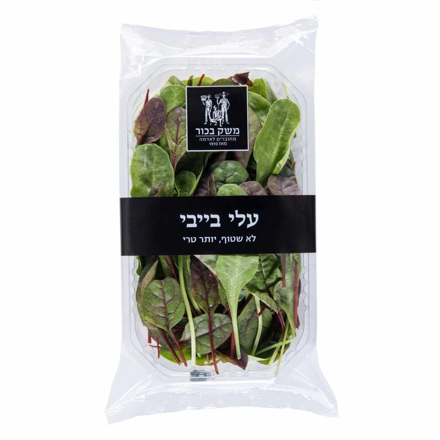 עלי בייבי
