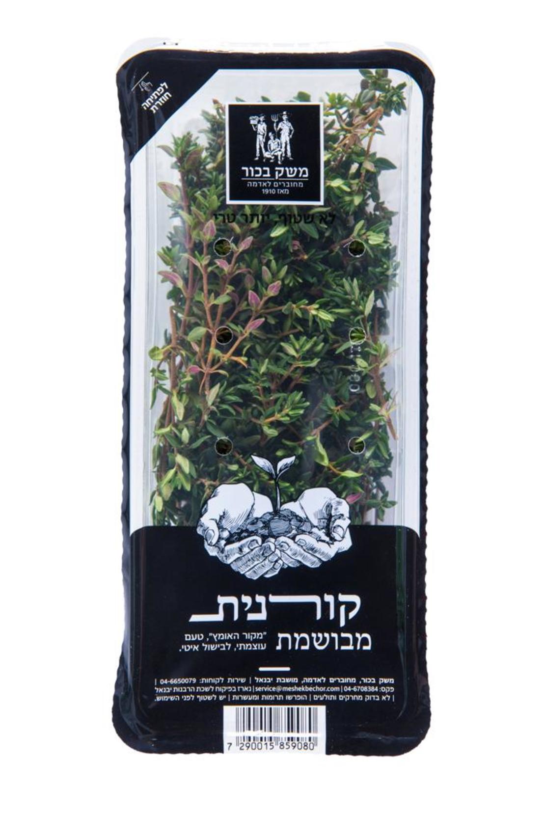 טימין ארוז