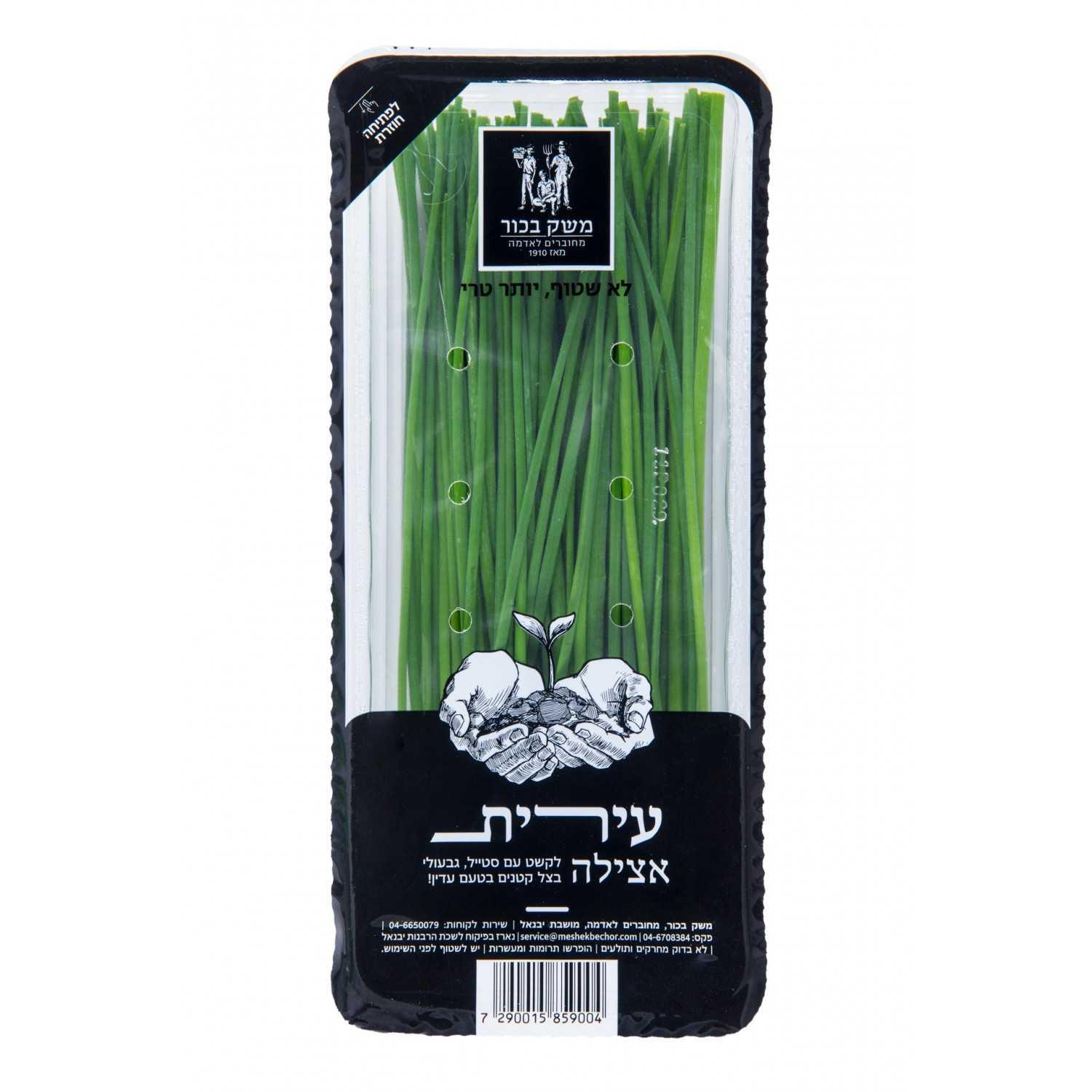 עירית ארוז