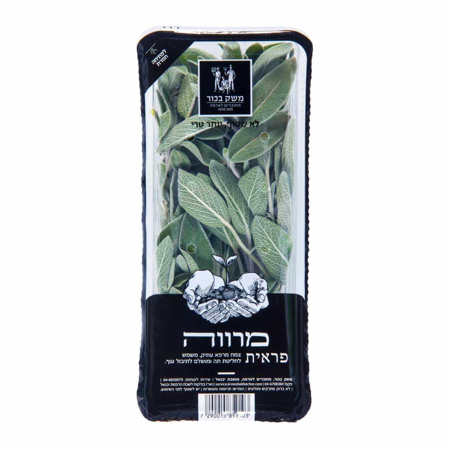 מרווה ארוז