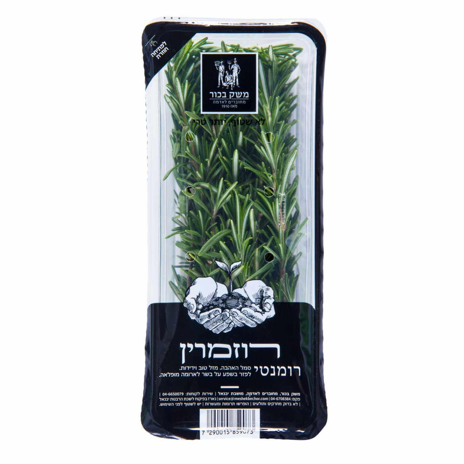 רוזמרין מארז