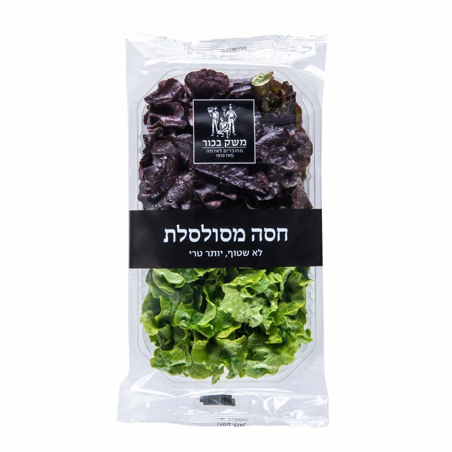 חסה מסולסלת ארוז