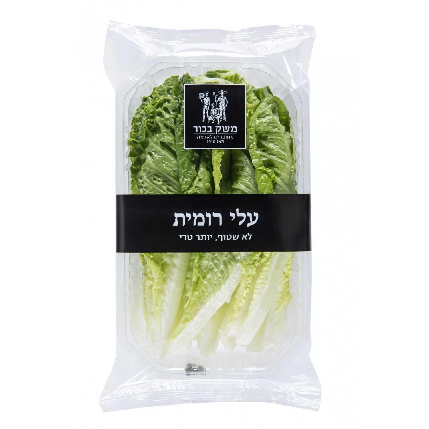 חסה רומית ארוז