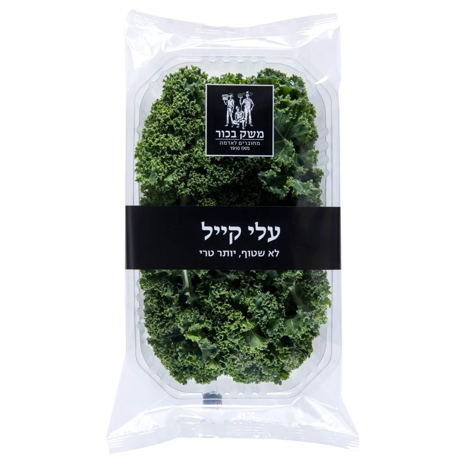 עליי קייל ירוק מסולסל